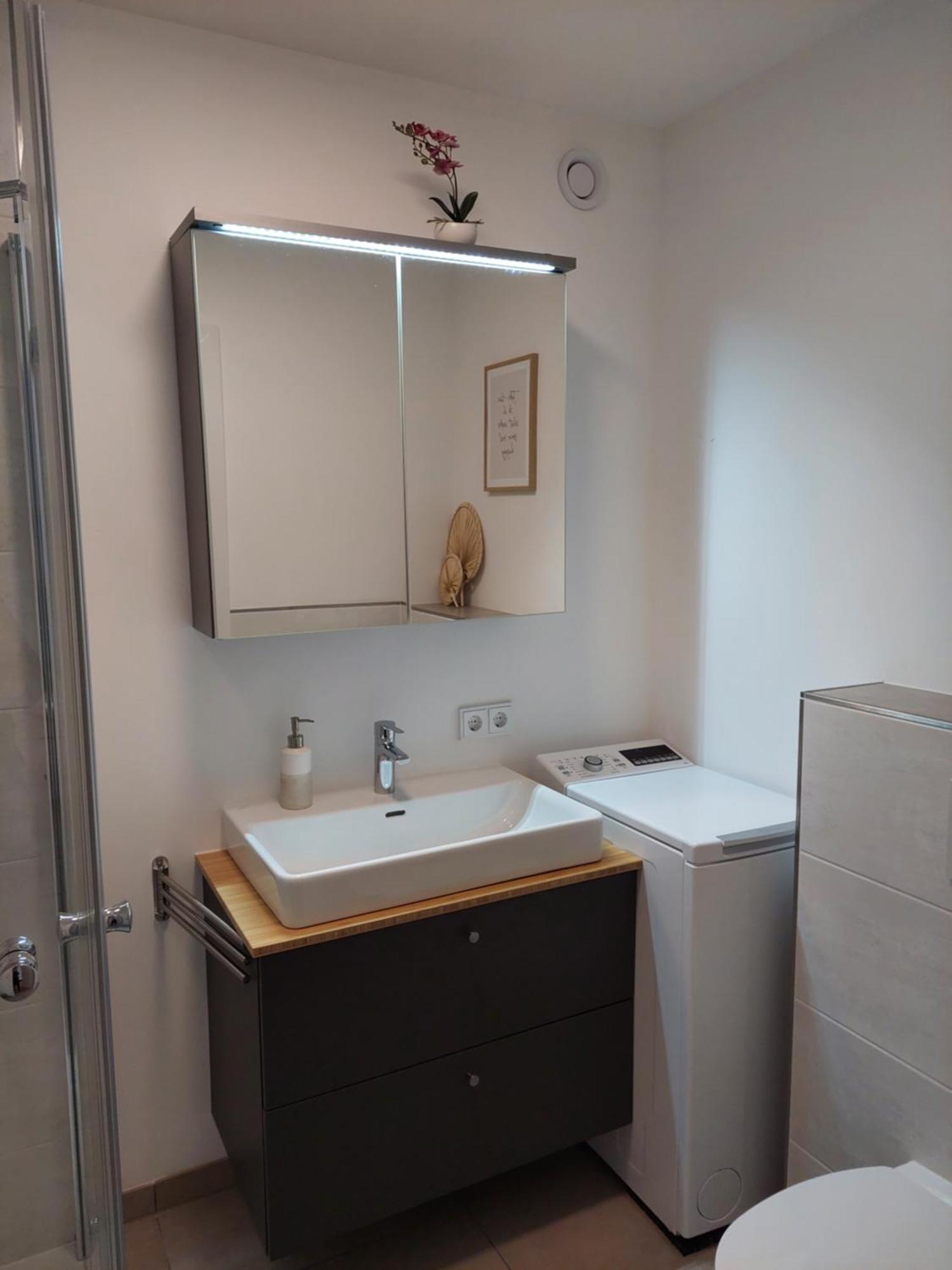 Apartment Lenau