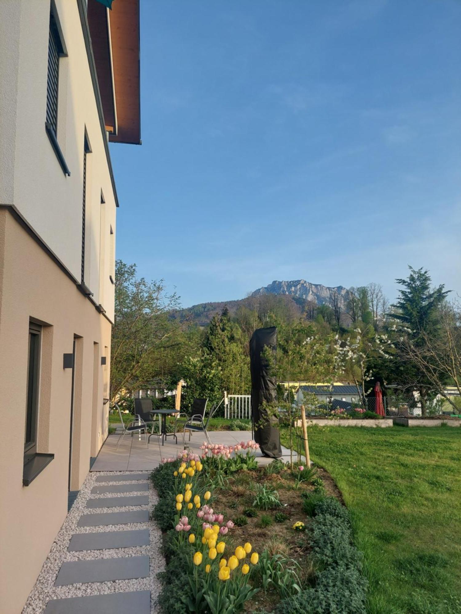 Apartment Lenau